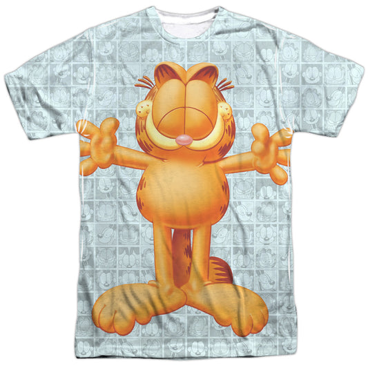 GARFIELD/FREE HUGS