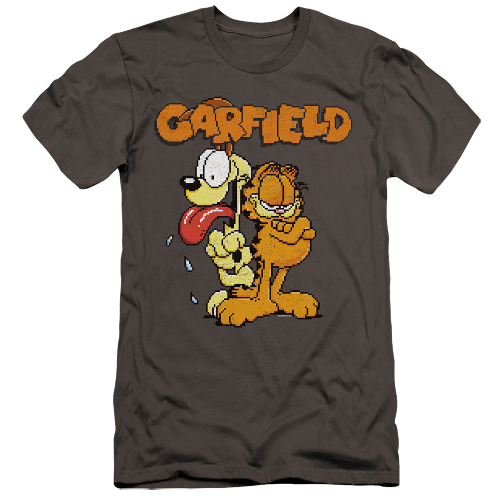 GARFIELD/GARFIELD THE GAME
