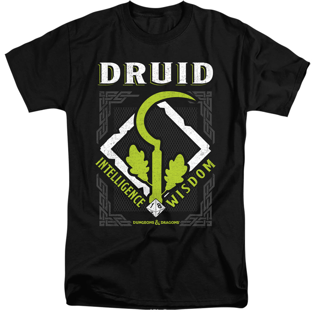 DUNGEONS AND DRAGONS/DRUID