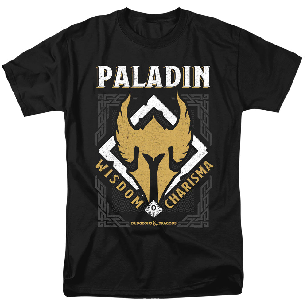 DUNGEONS AND DRAGONS/PALADIN