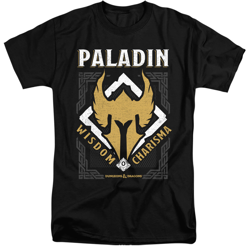 DUNGEONS AND DRAGONS/PALADIN