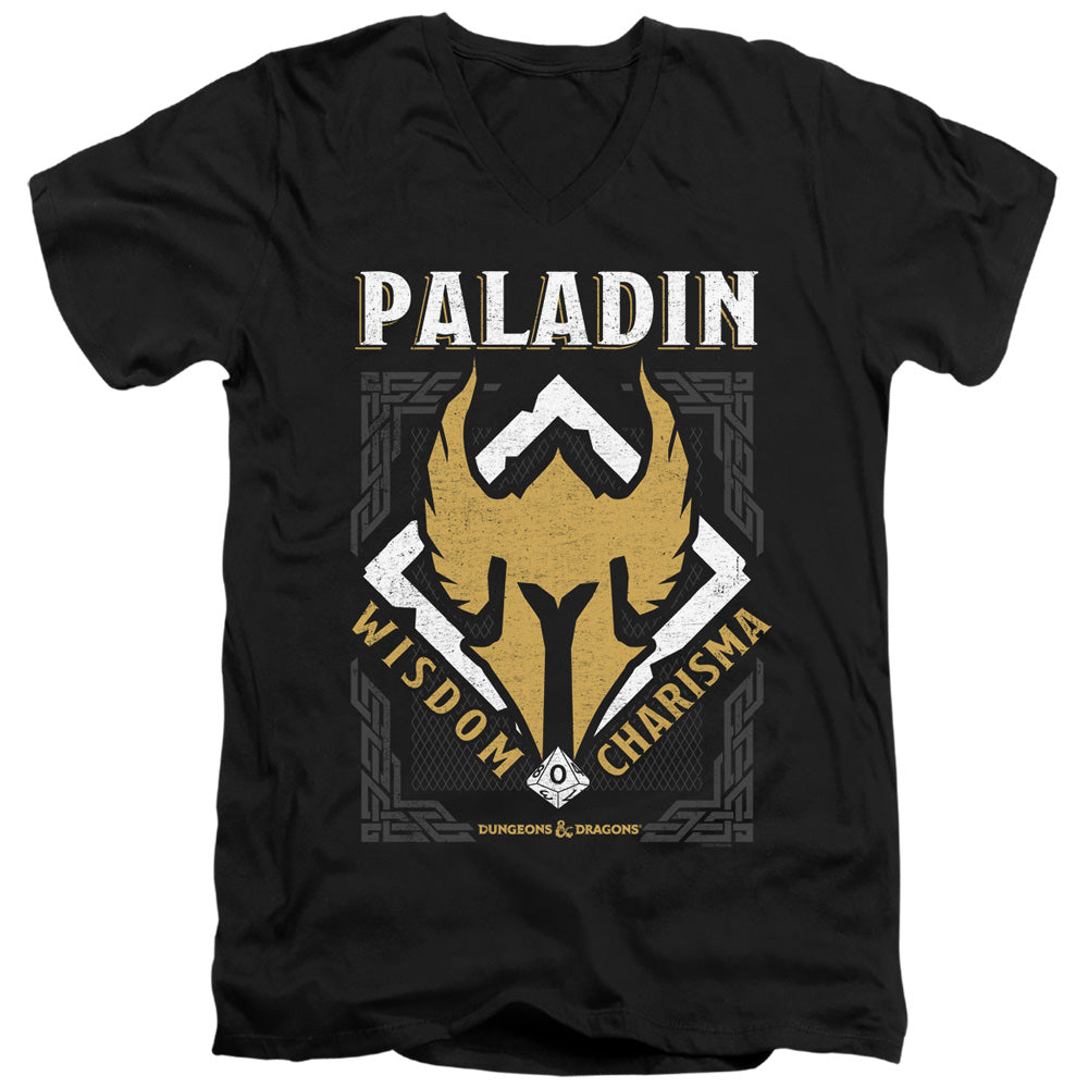 DUNGEONS AND DRAGONS/PALADIN