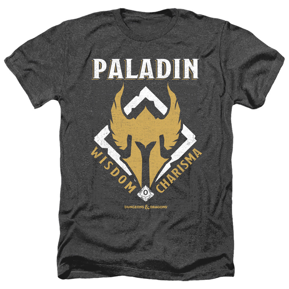 DUNGEONS AND DRAGONS/PALADIN
