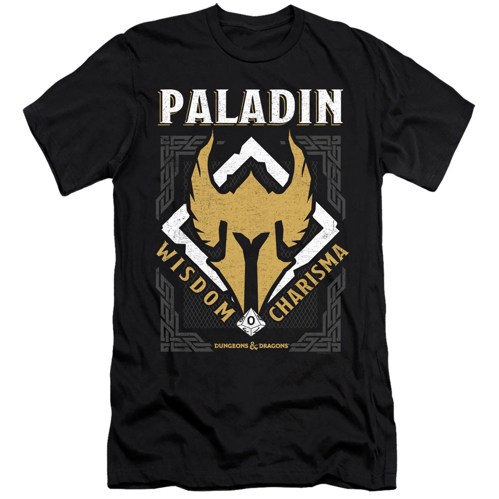 DUNGEONS AND DRAGONS/PALADIN