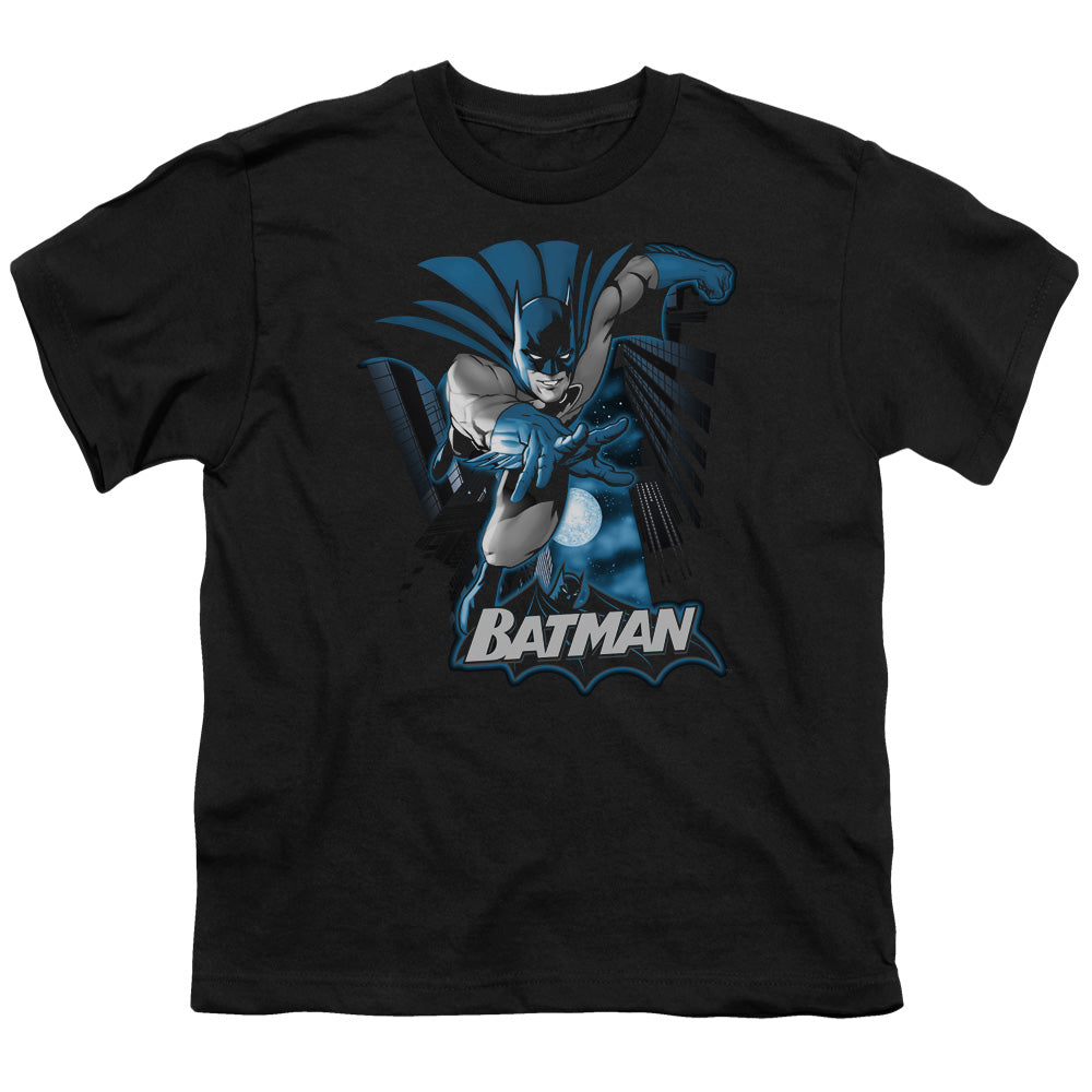 JLA/BATMAN BLUE & GRAY