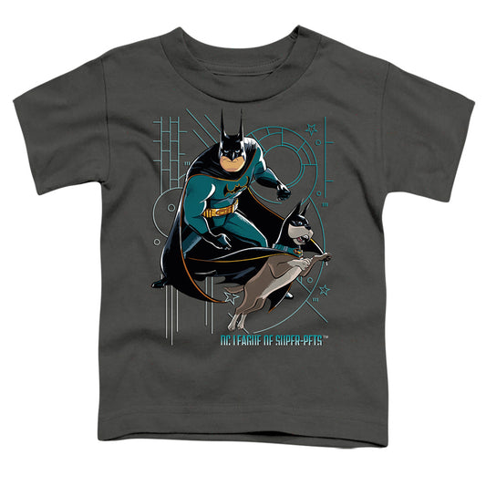 DC LEAGUE OF SUPER PETS/BAT AND ACE