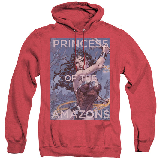 JLA/PRINCESS OF THE AMAZONS