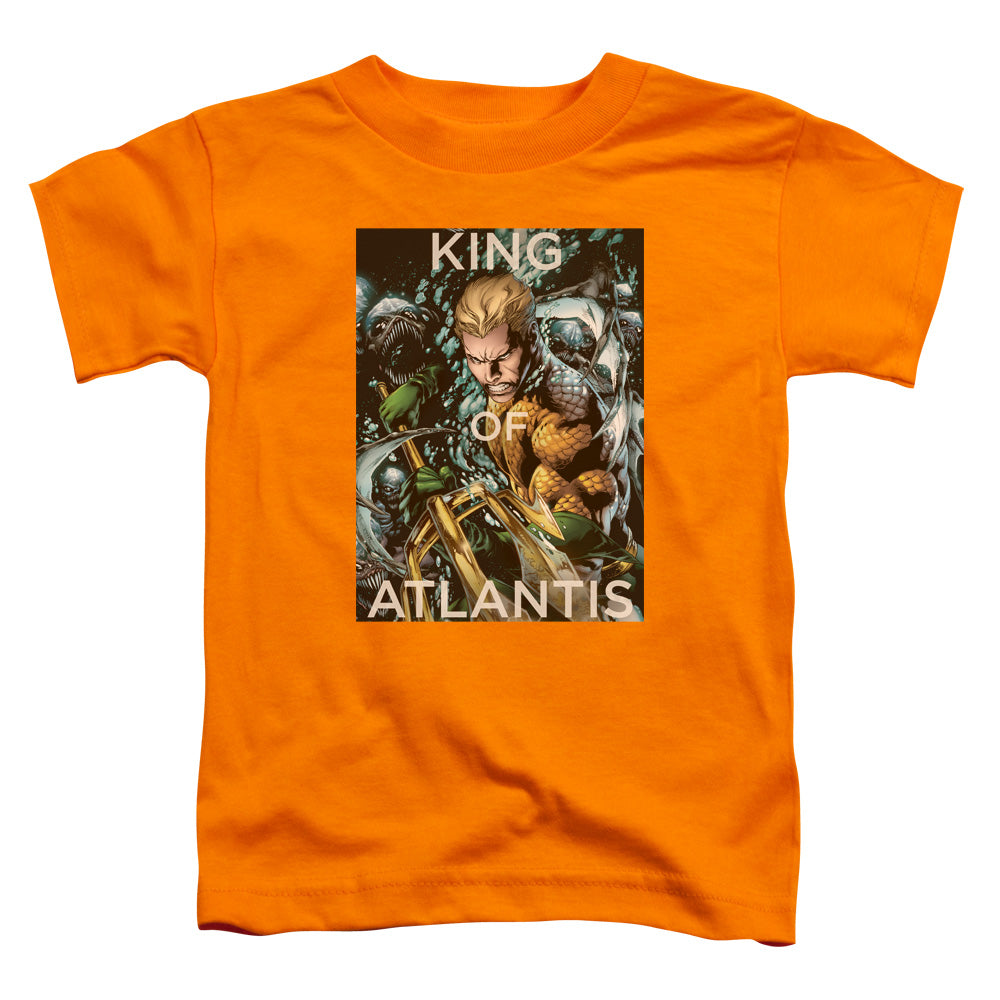 JLA/KING OF ATLANTIS