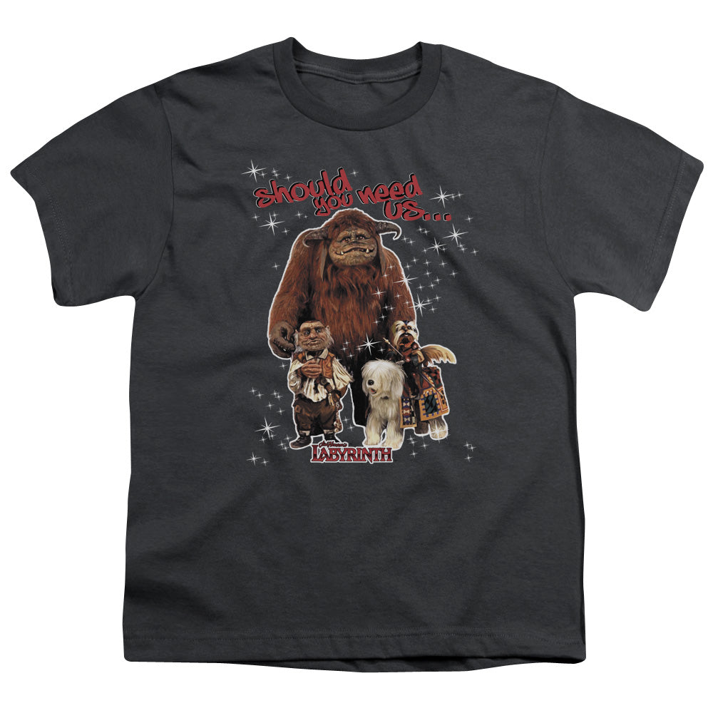 LABYRINTH/SHOULD YOU NEED US