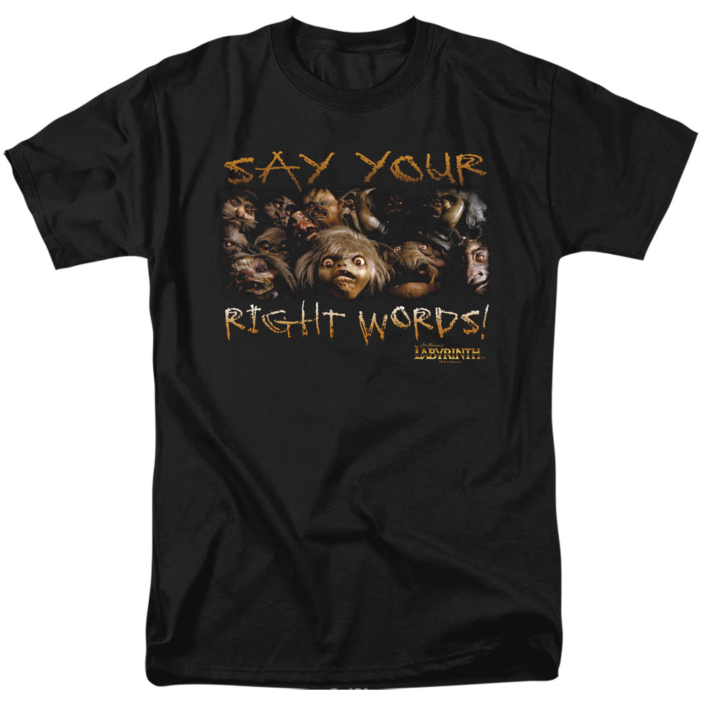 LABYRINTH/SAY YOUR RIGHT WORDS