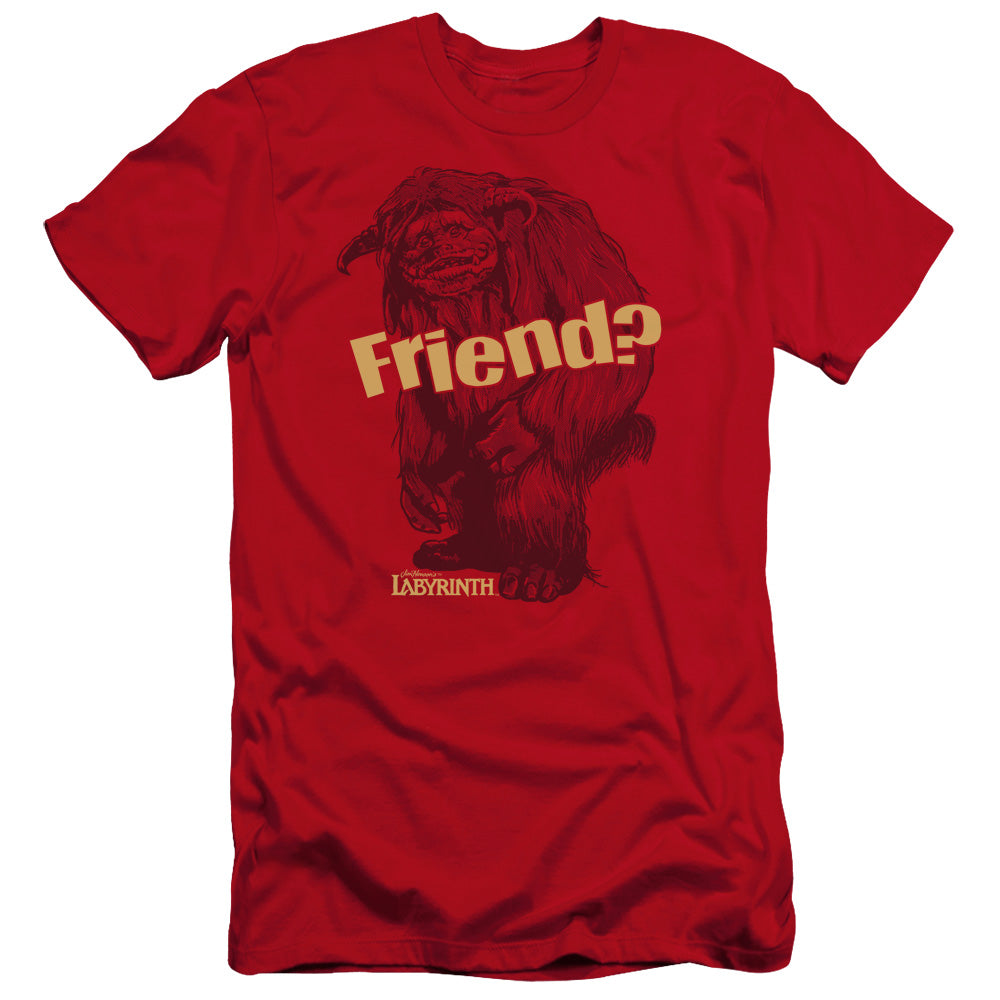 LABYRINTH/LUDO FRIEND