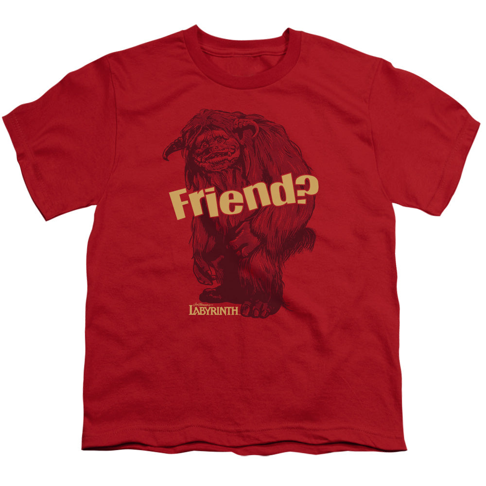 LABYRINTH/LUDO FRIEND