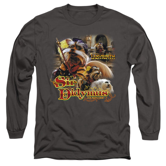 LABYRINTH/SIR DIDYMUS