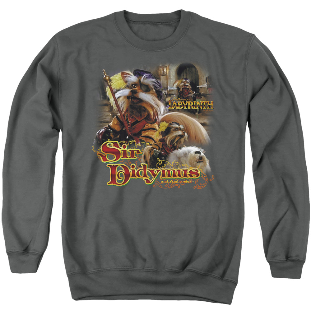 LABYRINTH/SIR DIDYMUS