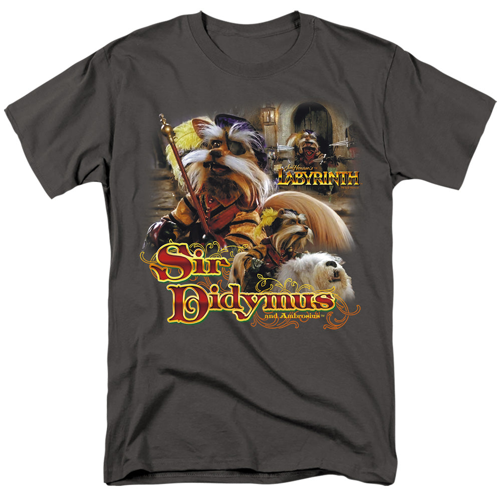 LABYRINTH/SIR DIDYMUS