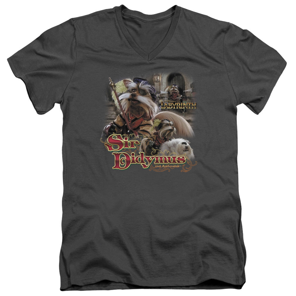 LABYRINTH/SIR DIDYMUS