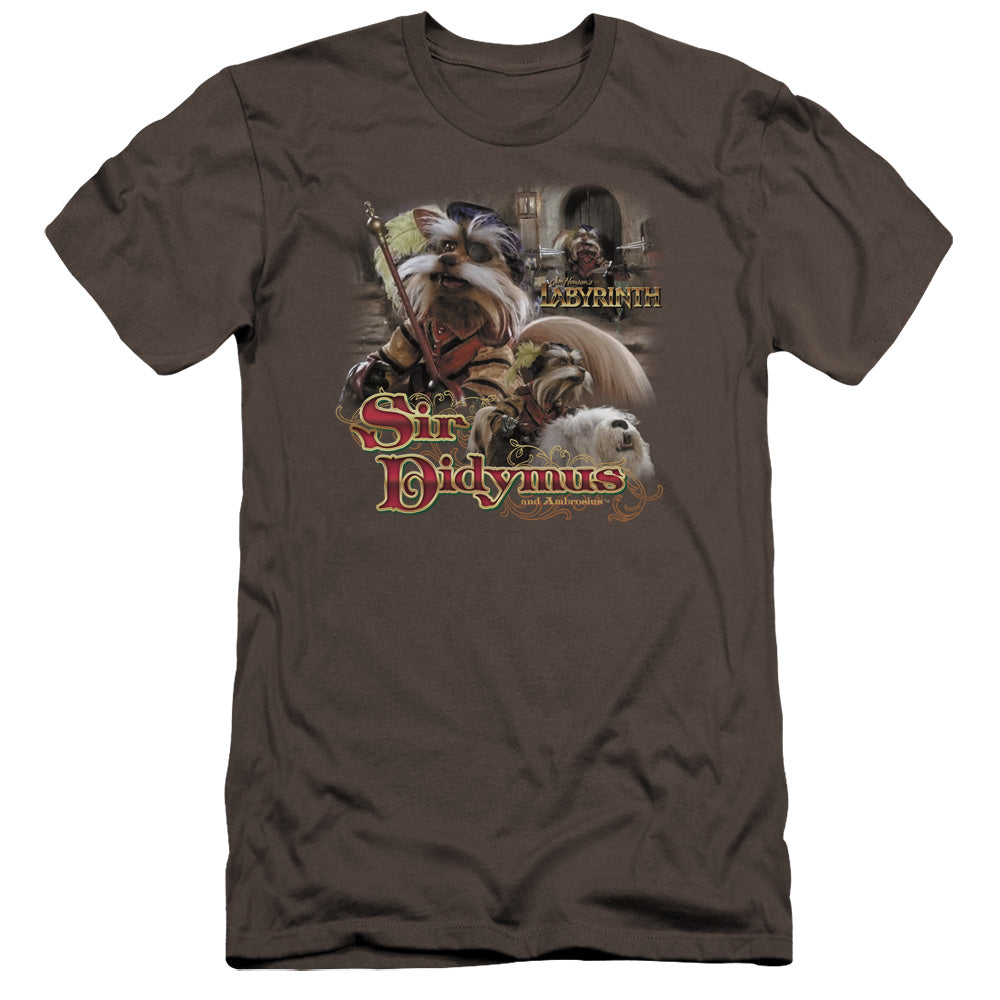 LABYRINTH/SIR DIDYMUS