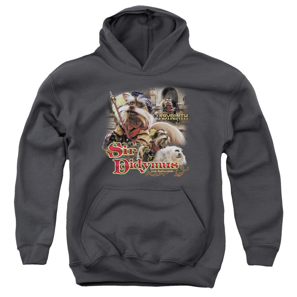 LABYRINTH/SIR DIDYMUS