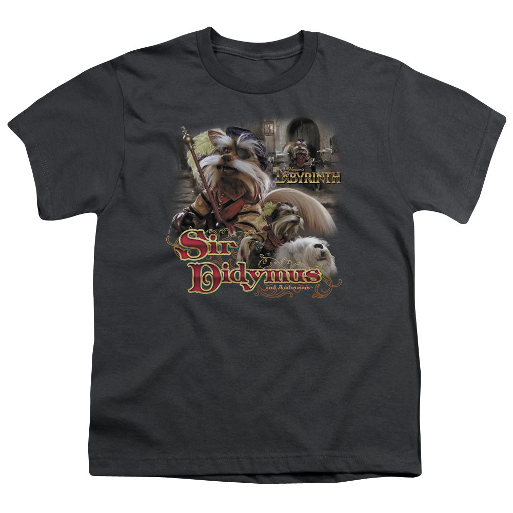 LABYRINTH/SIR DIDYMUS