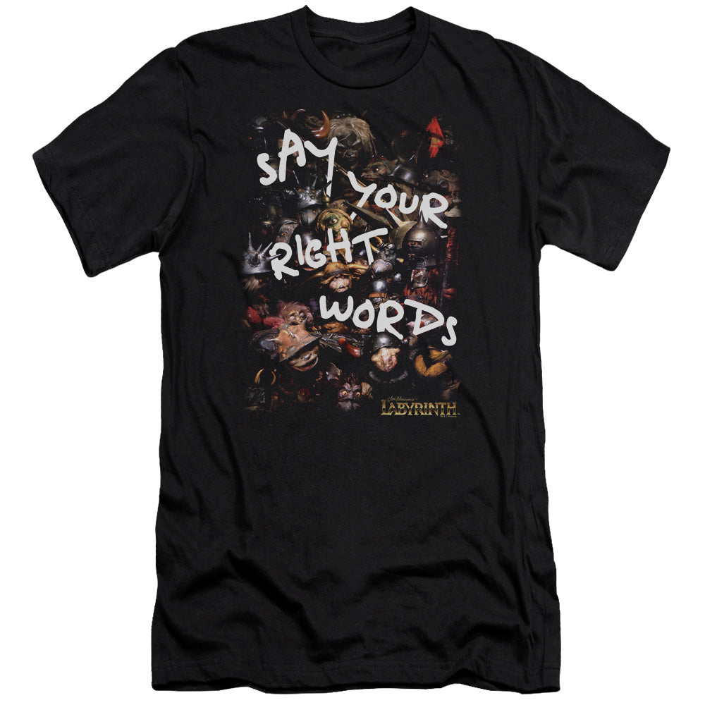LABYRINTH/RIGHT WORDS