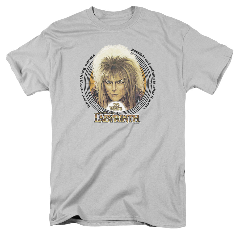 LABYRINTH/25 YEARS