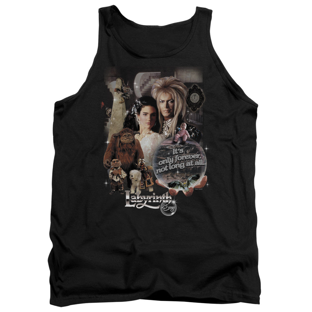 LABYRINTH/25 YEARS OF MAGIC