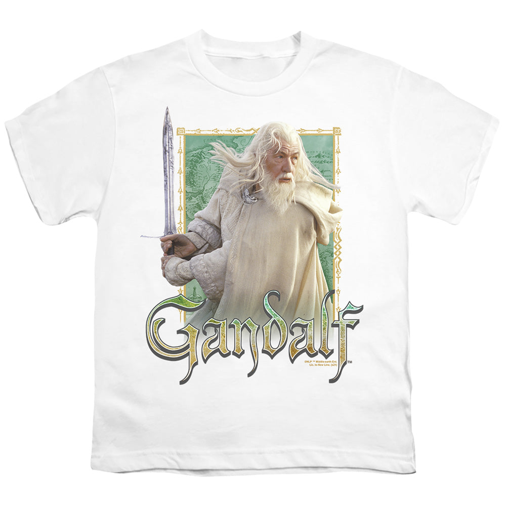 LORD OF THE RINGS/GANDALF