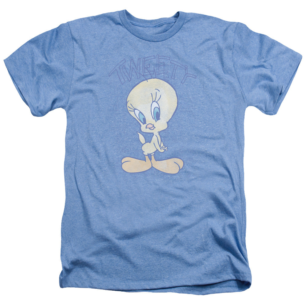 LOONEY TUNES/TWEETY FADE