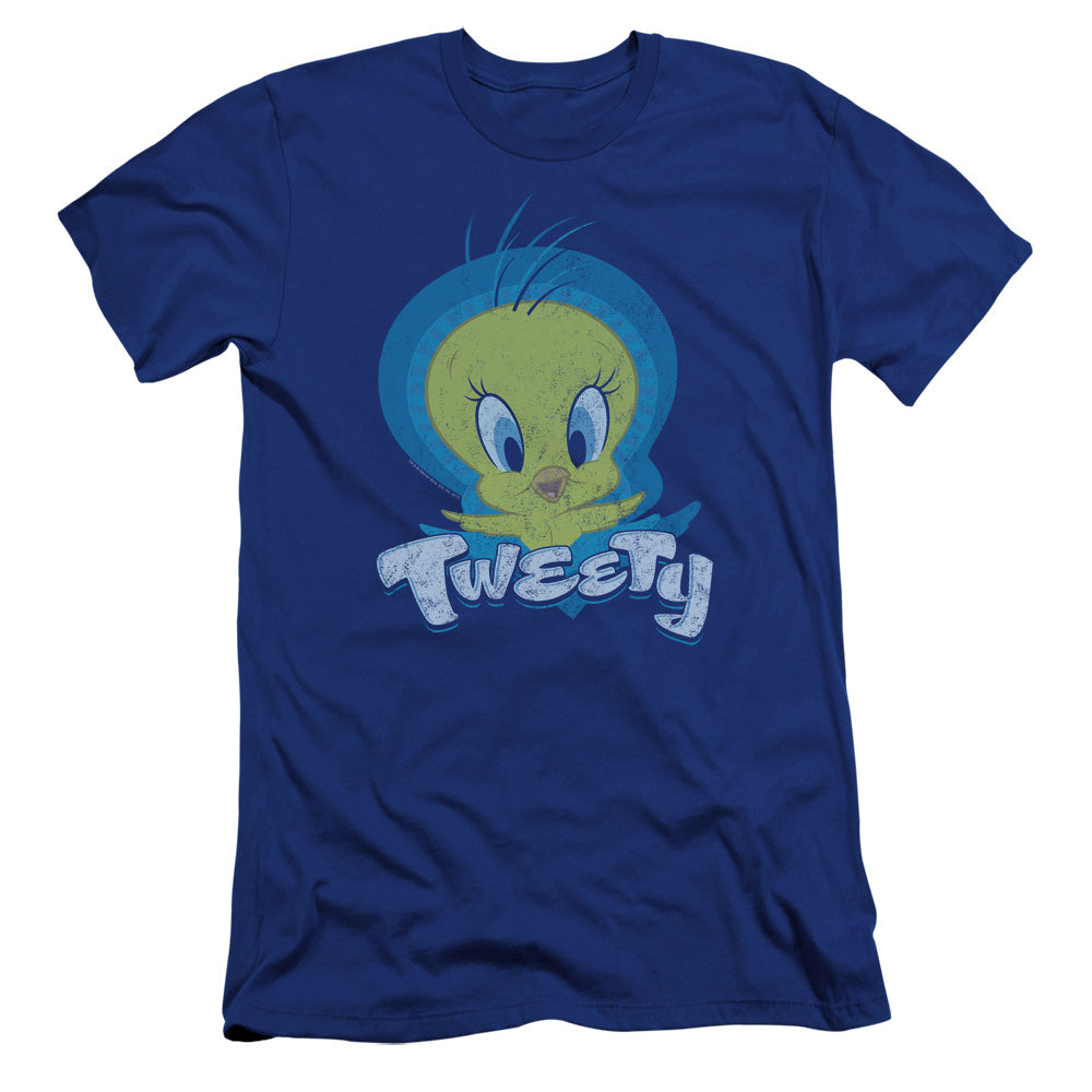 LOONEY TUNES/TWEETY SWIRL