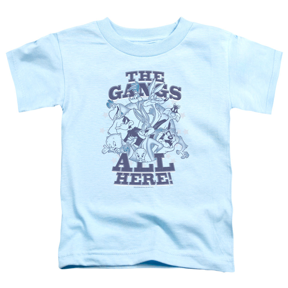 LOONEY TUNES/BLUE GANG