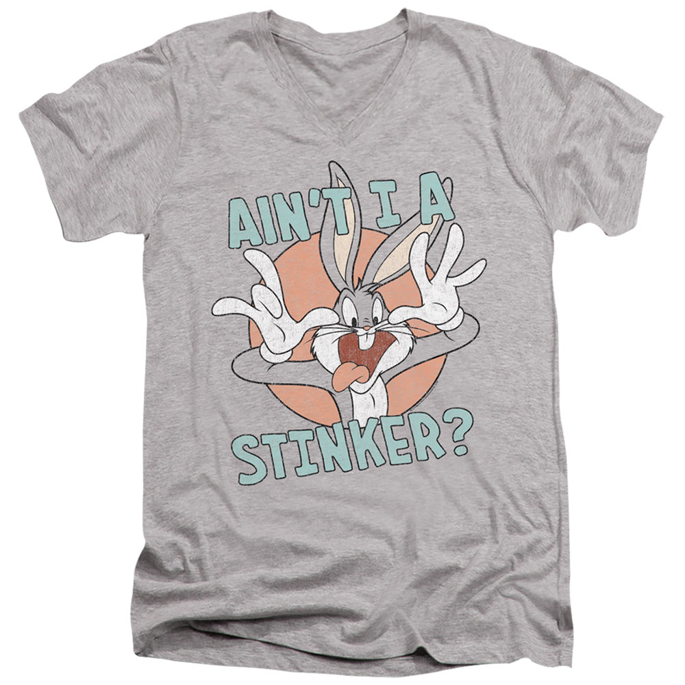 LOONEY TUNES/AIN'T I A STINKER