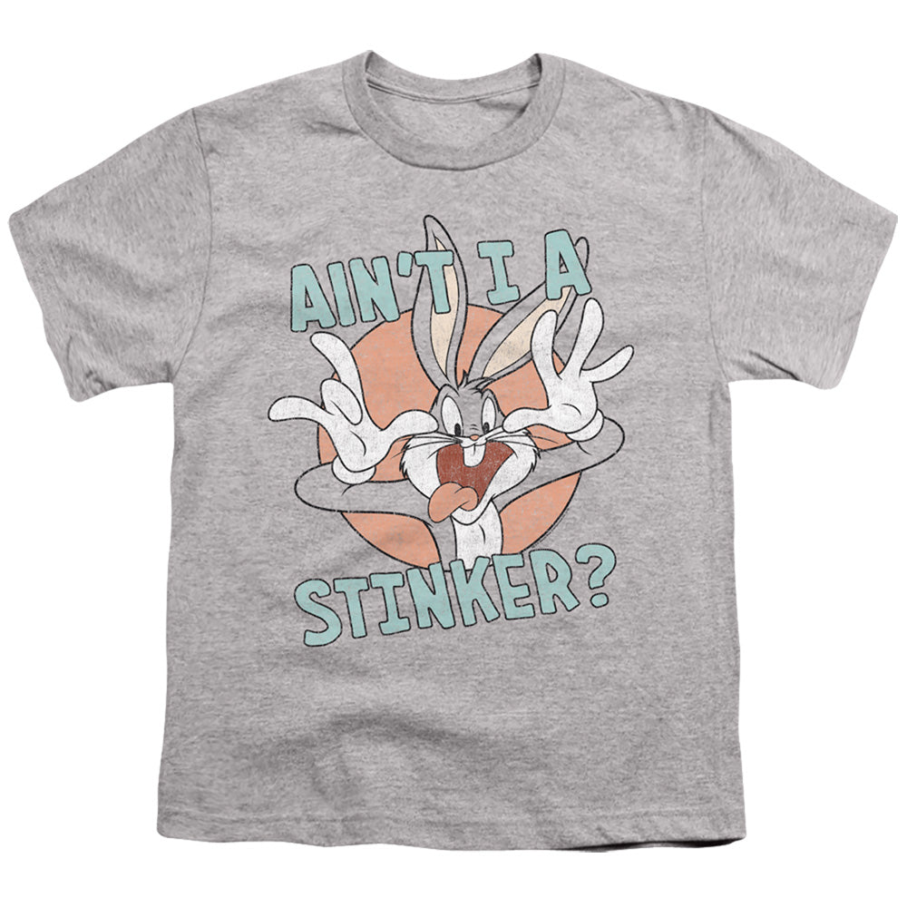 LOONEY TUNES/AIN'T I A STINKER