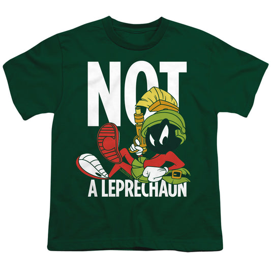 LOONEY TUNES/NOT A LEPRECHAUN