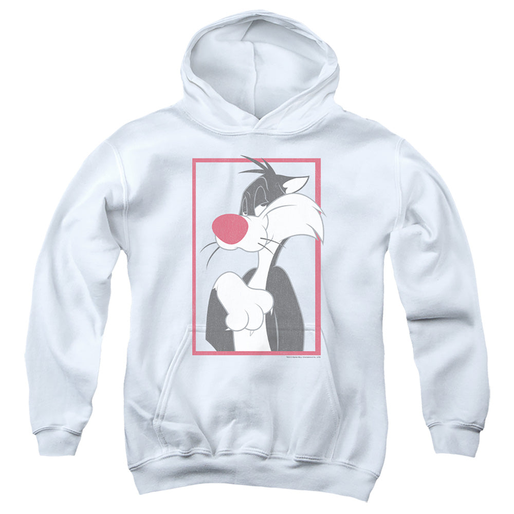 LOONEY TUNES/SYLVESTER