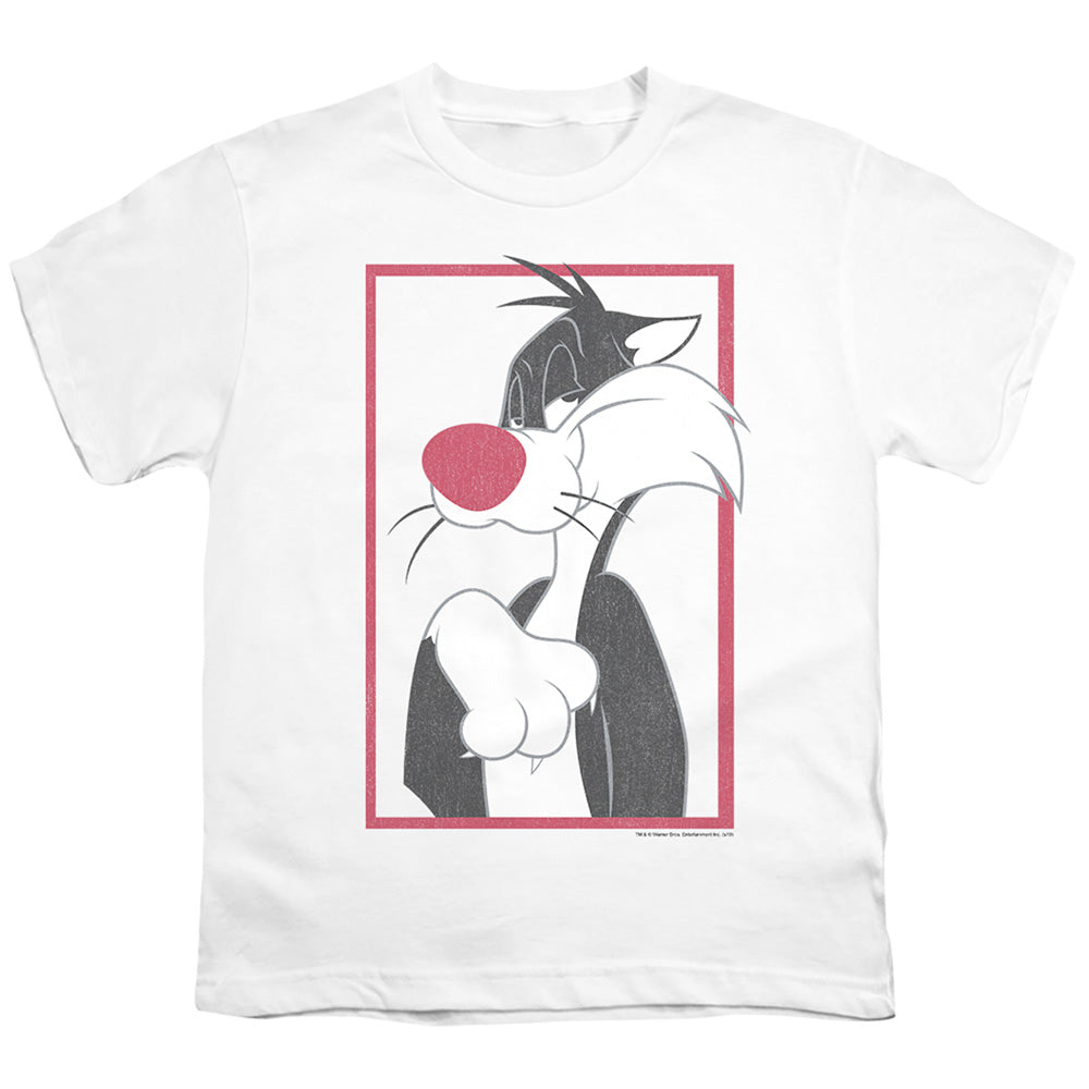 LOONEY TUNES/SYLVESTER