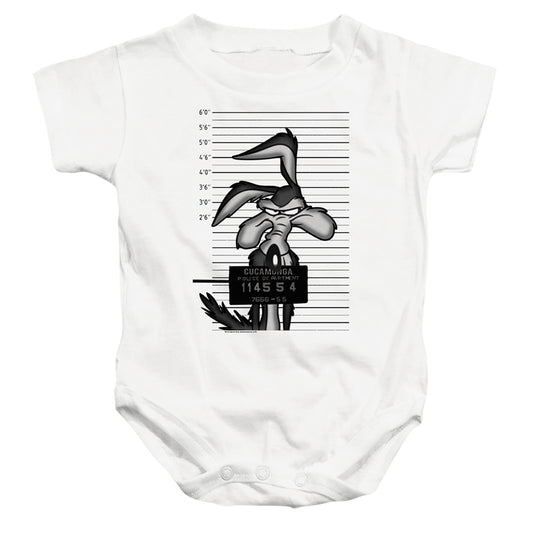 LOONEY TUNES/WILE E. COYOTE BUSTED