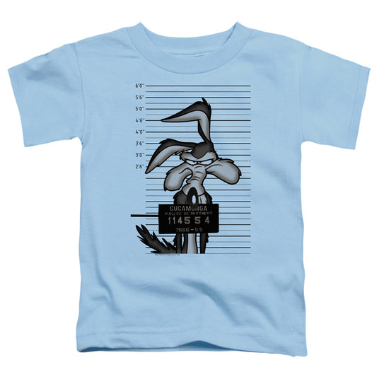 LOONEY TUNES/WILE E. COYOTE BUSTED