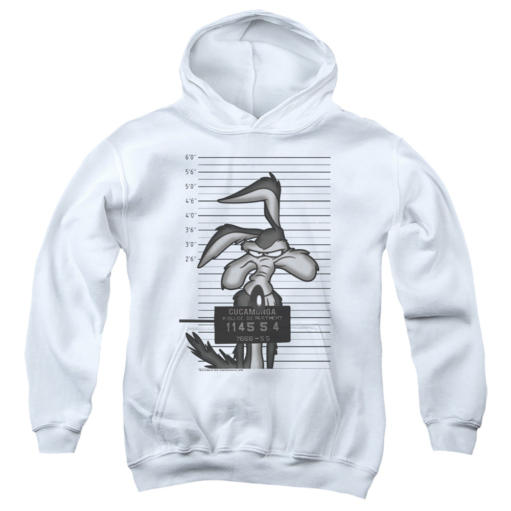 LOONEY TUNES/WILE E. COYOTE BUSTED