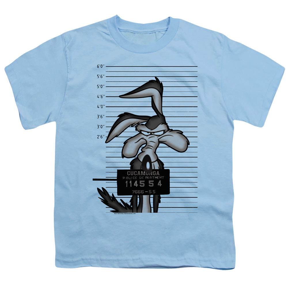 LOONEY TUNES/WILE E. COYOTE BUSTED
