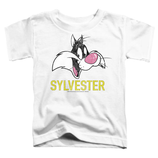 LOONEY TUNES/SYLVESTER