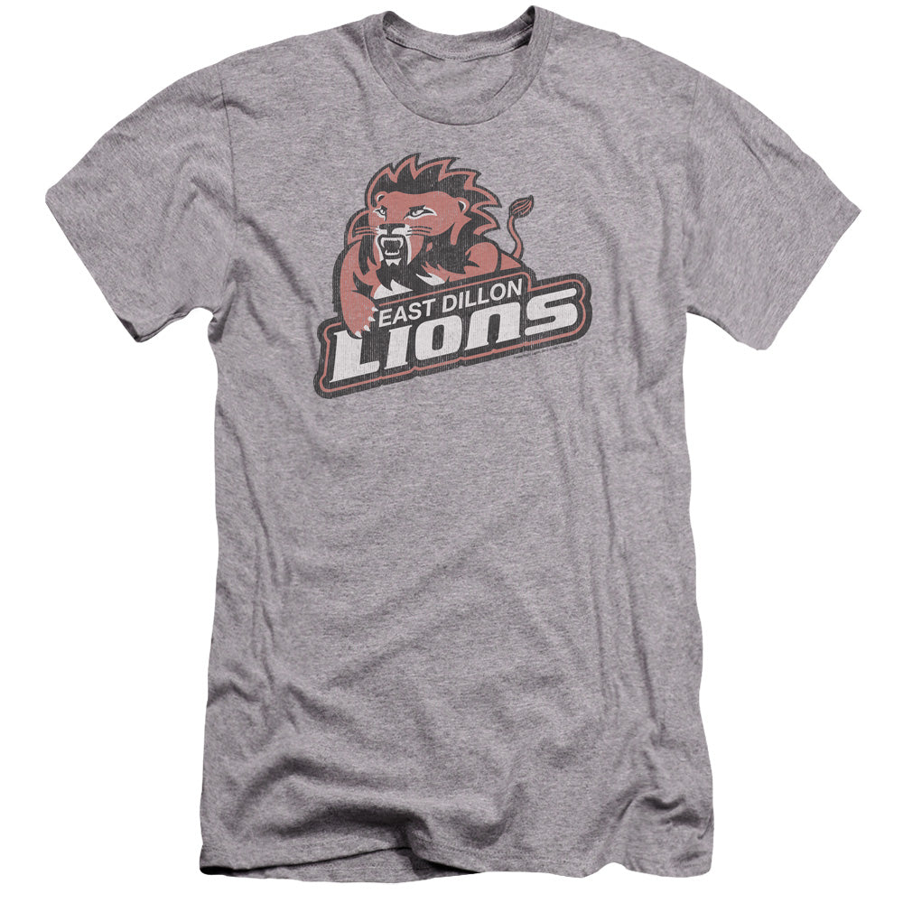 FRIDAY NIGHT LIGHTS/EAST DILLION LIONS