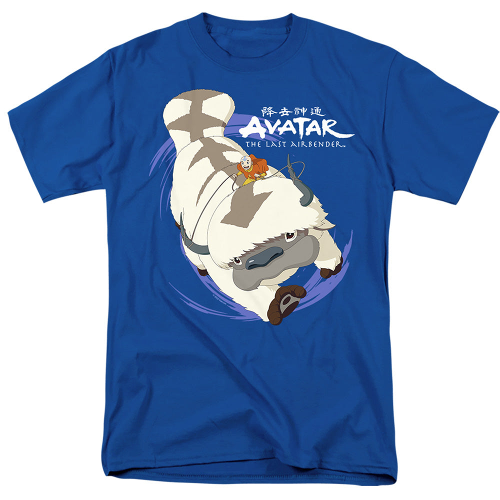 AVATAR THE LAST AIRBENDER/APPA IN FLIGHT