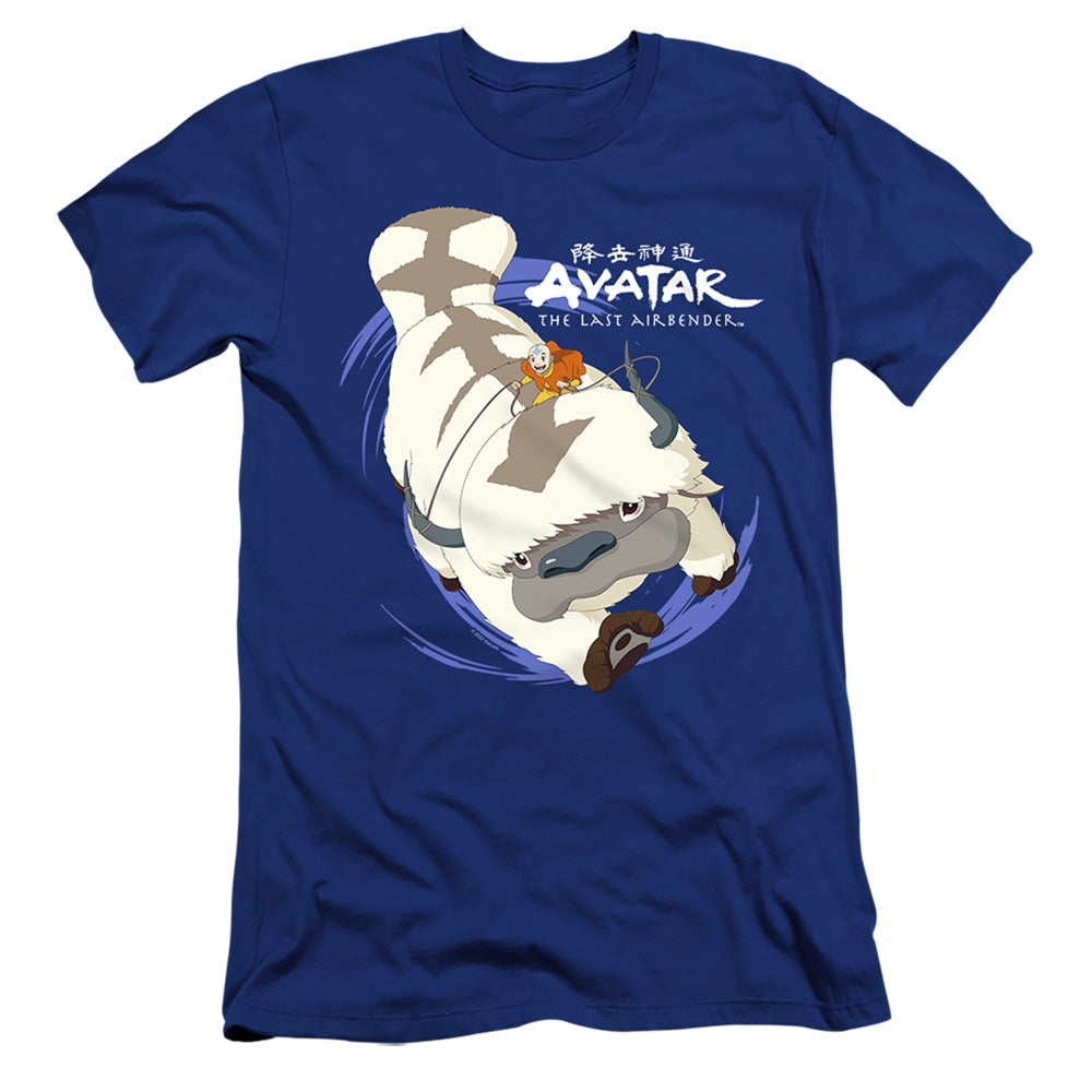 AVATAR THE LAST AIRBENDER/APPA IN FLIGHT