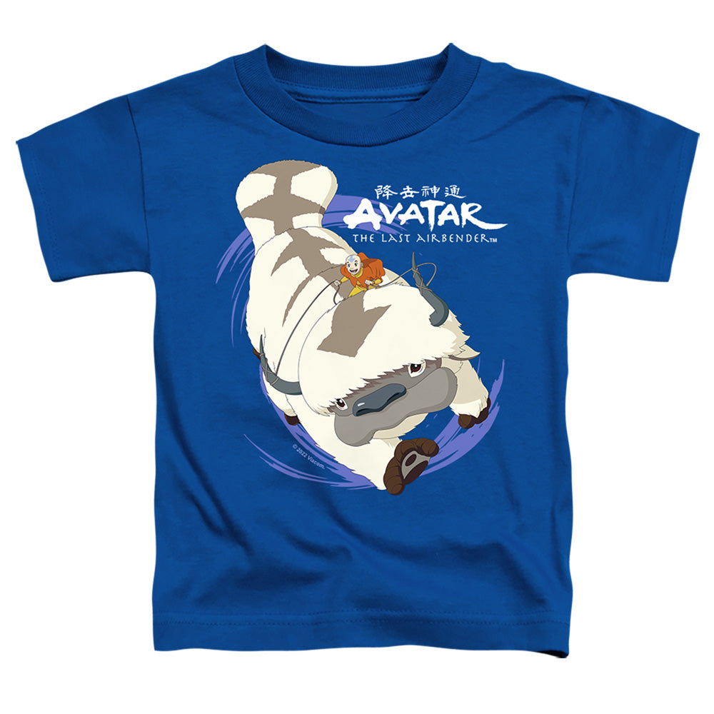 AVATAR THE LAST AIRBENDER/APPA IN FLIGHT
