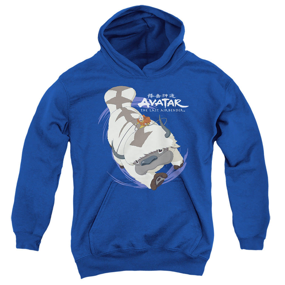 AVATAR THE LAST AIRBENDER/APPA IN FLIGHT