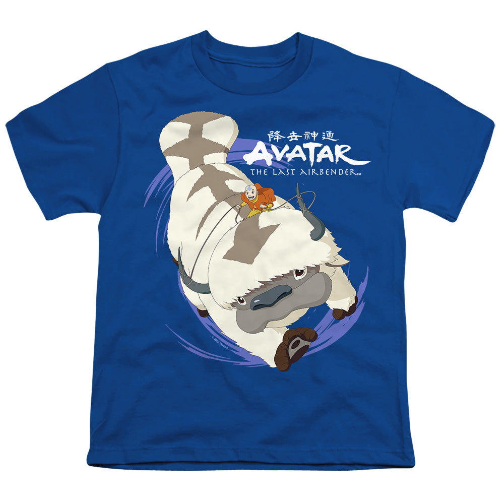 AVATAR THE LAST AIRBENDER/APPA IN FLIGHT