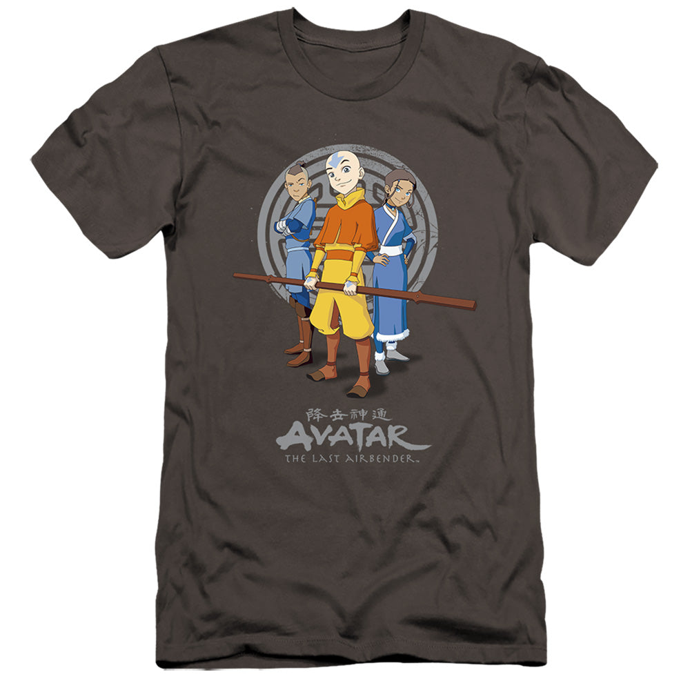 AVATAR THE LAST AIRBENDER/TEAM AVATAR