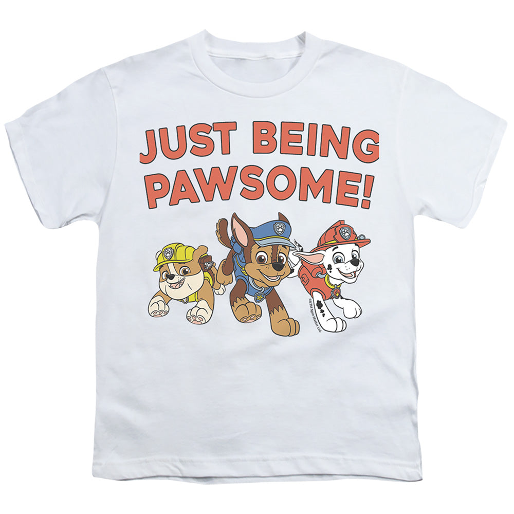 PAW PATROL/JUST BEING PAWSOME!