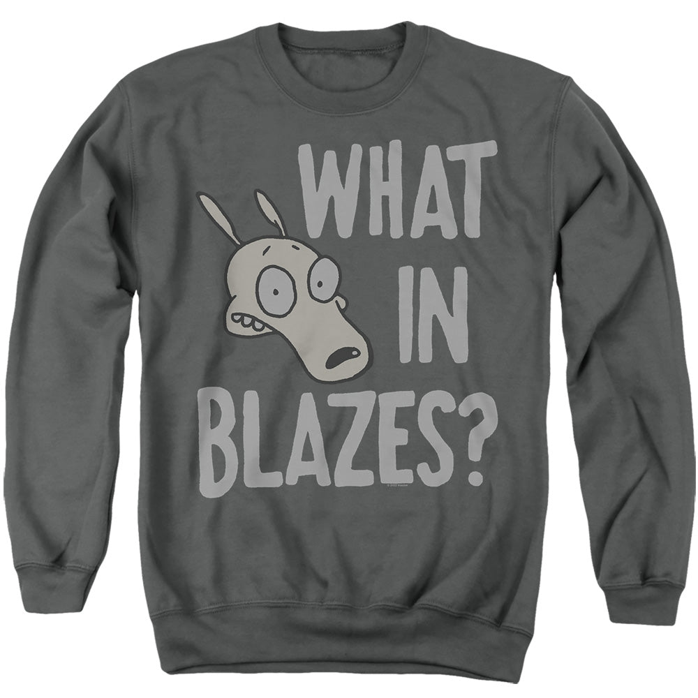 ROCKO'S MODERN LIFE/WHAT IN BLAZES?