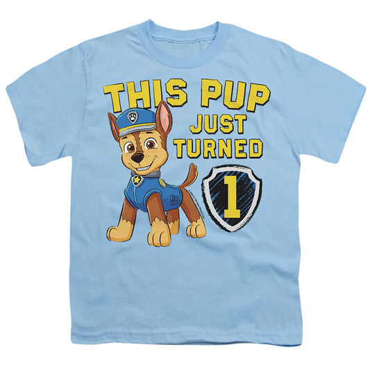 PAW PATROL/THIS PUP'S BIRTHDAY